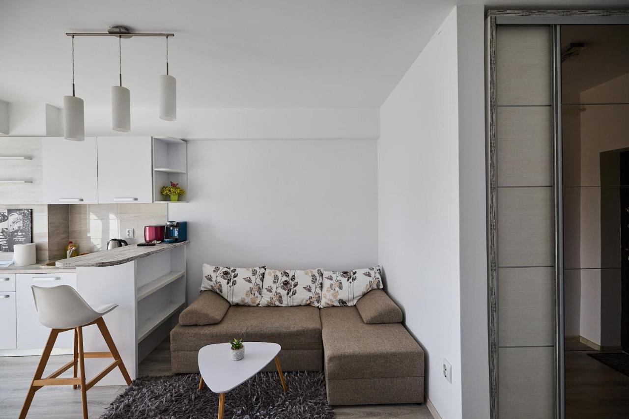 Alessandro Home 9 Luxury Centru Palas Mall Iasi Moldovei 30 Zewnętrze zdjęcie